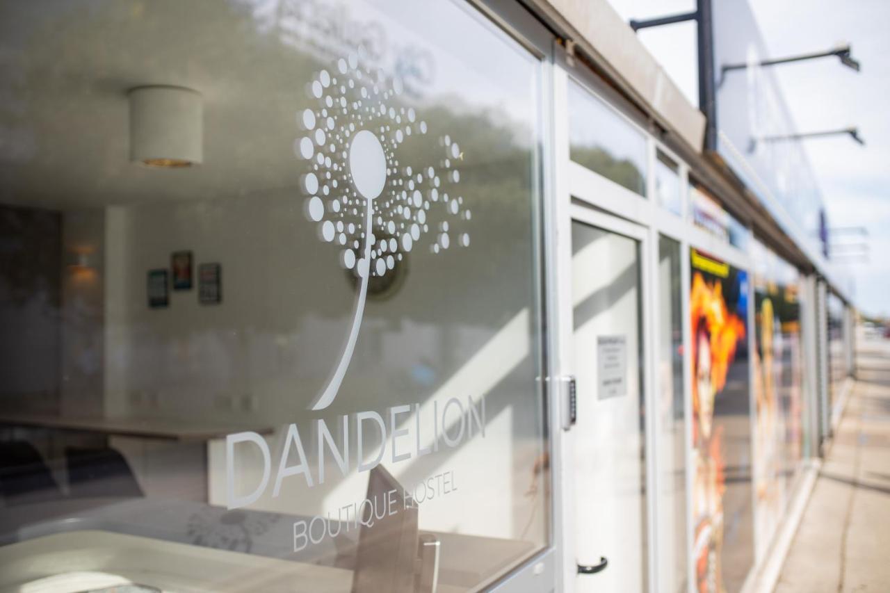 Dandelion Hostel Zadar Exteriör bild